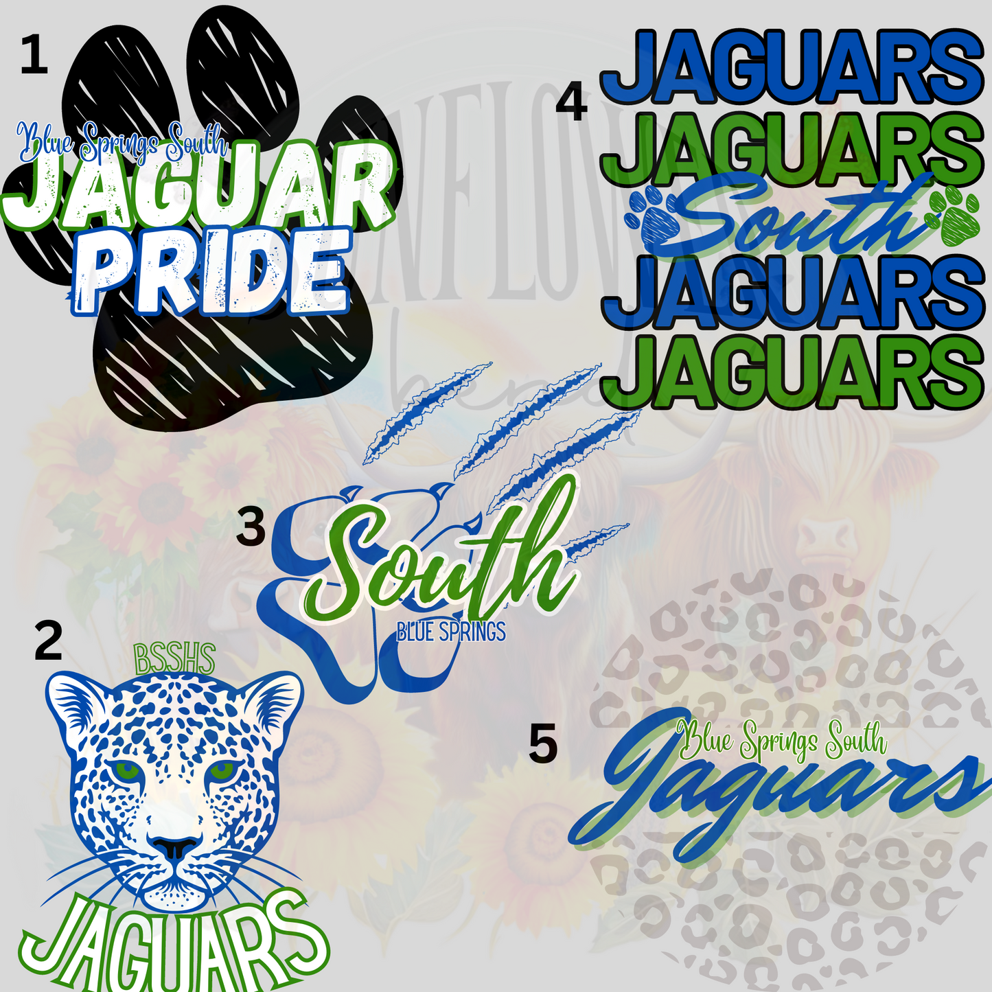 Blue Springs South Jaguars