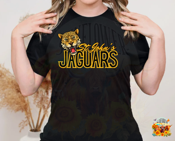 St. John's Jaguars