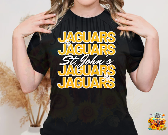St. John's Jaguars