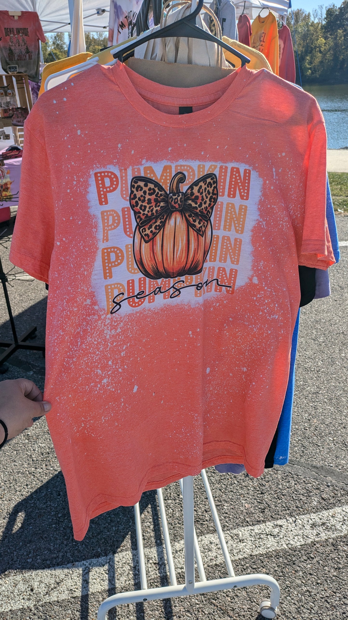 Pumpkin Medium