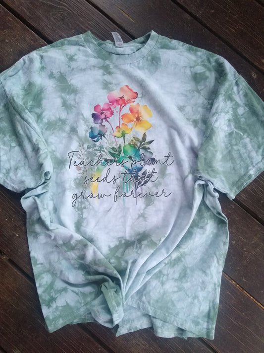 Teachers Plant Seeds