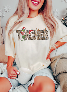 Teacher